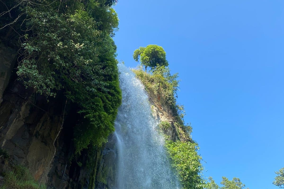 A tall waterfall falling down a green cliff